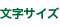 文字サイズ